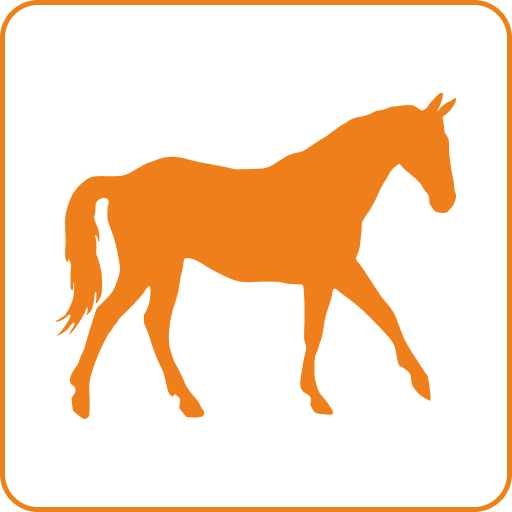 Развлечения летом