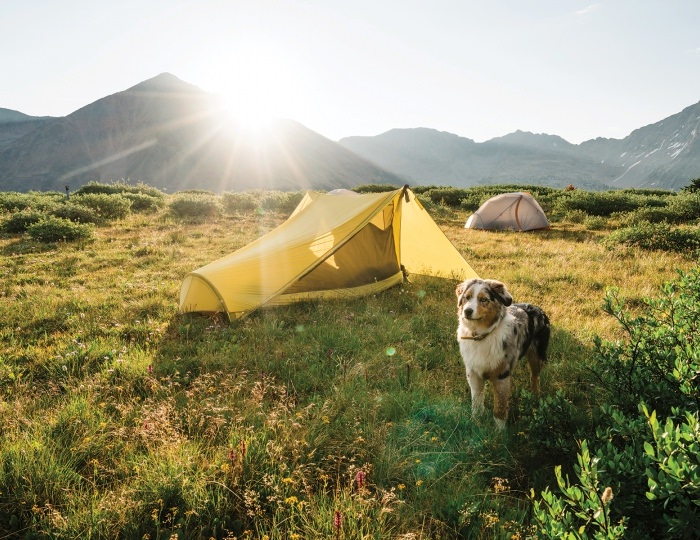 Летние развлечения на территории курорта Красная Поляна (ex. Горки Город) - Апартаменты Курорта Красная Поляна (бывш. «Горки Город»)